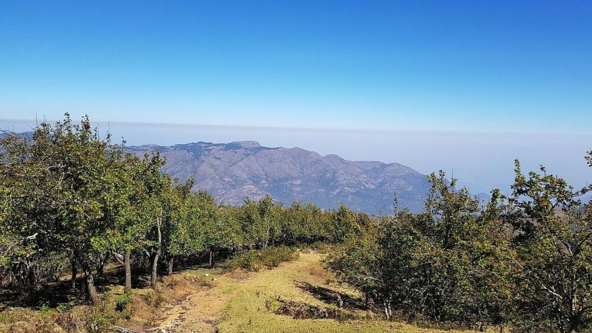Starlight Hotels Kodai Kodaikanal Zewnętrze zdjęcie